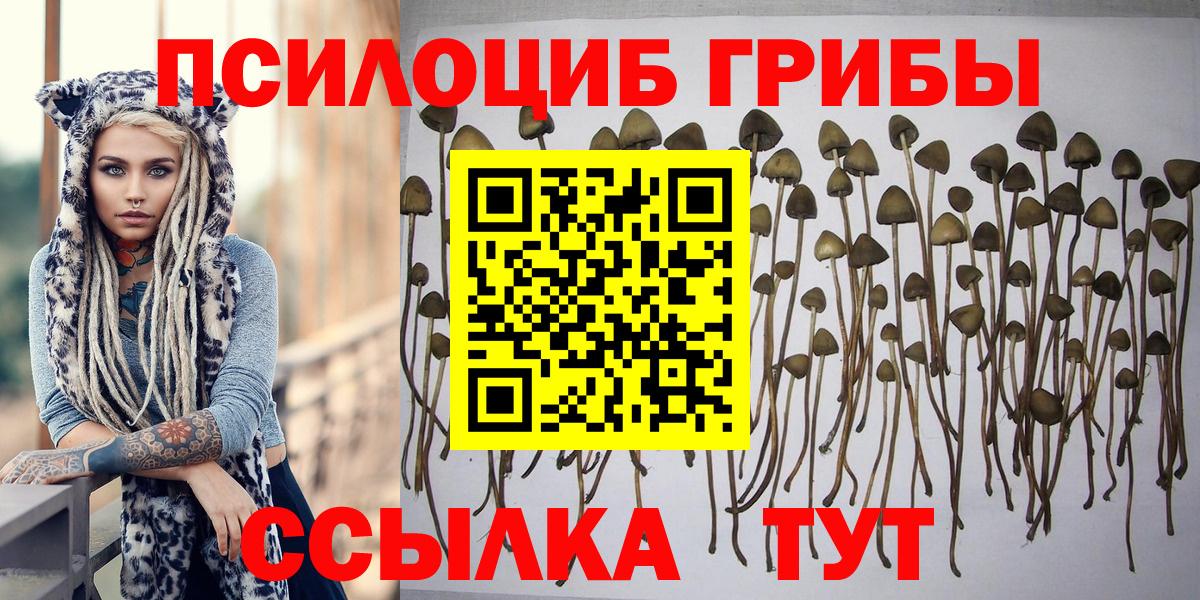 Псилоцибиновые грибы мицелий  Вход с VPN  Пугачёв 